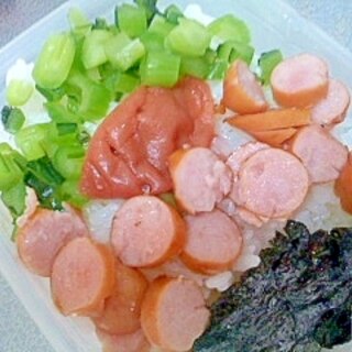 ウィンナーと野沢菜と梅干しのお弁当